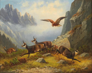 Moritz Mller - Adler auf Gemsenjagd.webp