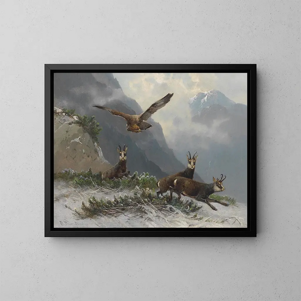 Chamois dans les hautes montagnes - Moritz Müller — gerahmtes Bild an der Wand