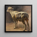 Schaf - Christian Mali — gerahmtes Bild an der Wand