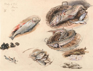 Studie von Fischen in Venedig - Myles Birket Foster — Ansicht des Kunstwerks