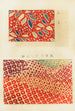 Shin zuan Pl 13 - Nakayasu Shinzaburō — Ansicht des Kunstwerks