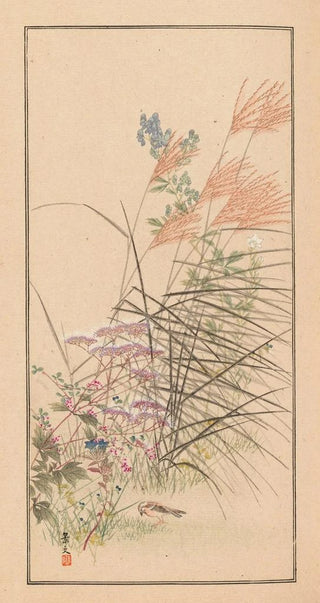 Nanbara Sakujir - Shubi gakan Pl03.webp