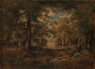 Eine Aussicht durch die Bäume von Fontainebleau - Narcisse Virgile Diaz de la Peña — Ansicht des Kunstwerks