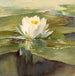 Seerose in der Sonne - John La Farge — Ansicht des Kunstwerks