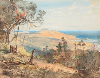 Nicholas Chevalier - Sandfly Bay and Gull Rock near Dunedin.webp