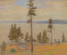 Landschaft von Saaremaa - Nikolai Triik — Ansicht des Kunstwerks
