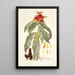 Alpinia comosa - Nikolaus Joseph Freiherr von Jacquin — gerahmtes Bild an der Wand