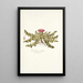 Carduus acaulis - Nikolaus Joseph Freiherr von Jacquin — gerahmtes Bild an der Wand