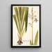 Gladiolus iridifolius - Nikolaus Joseph Freiherr von Jacquin — gerahmtes Bild an der Wand
