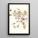 Pelargonium coriandrifolium - Nikolaus Joseph Freiherr von Jacquin — gerahmtes Bild an der Wand