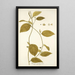 Tragia involucrata - Nikolaus Joseph Freiherr von Jacquin — gerahmtes Bild an der Wand