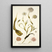 Tragopogon mutabilis - Nikolaus Joseph Freiherr von Jacquin — gerahmtes Bild an der Wand