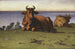 Vaches au repos, motif de terre - Nils Kreuger — Ansicht des Kunstwerks