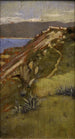 Côte de Tanger - Norman Garstin — Ansicht des Kunstwerks