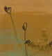 Neue Farne - Shibata Zeshin — Ansicht des Kunstwerks