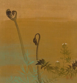 Nouvelles fougères - Shibata Zeshin