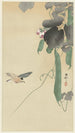 Vogel auf Buschbohne mit Blüten - Ohara Koson — Ansicht des Kunstwerks