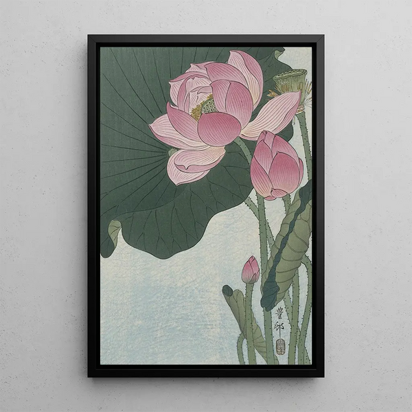 Lotusblumen in Blüte - Ohara Koson — gerahmtes Bild an der Wand