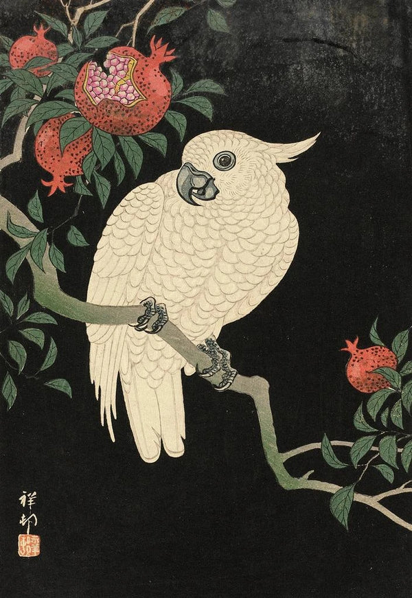 Cacatoès et grenade - Ohara Koson — gerahmtes Bild an der Wand