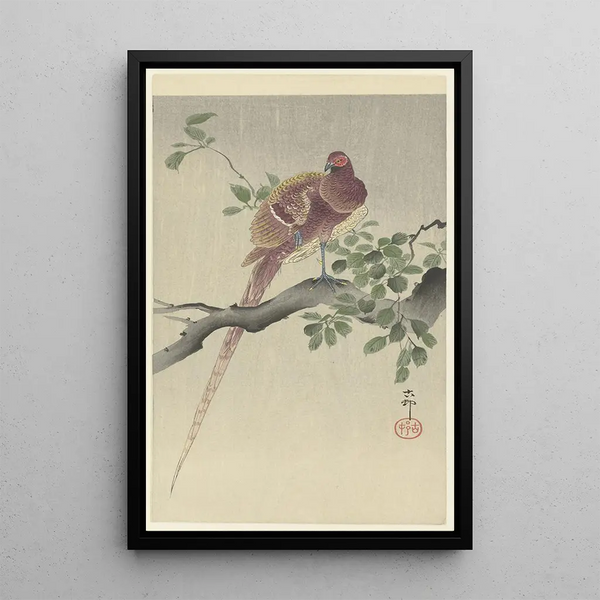 Fasan in Kupfer - Ohara Koson — gerahmtes Bild an der Wand