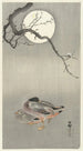 Enten bei Vollmond - Ohara Koson — Ansicht des Kunstwerks