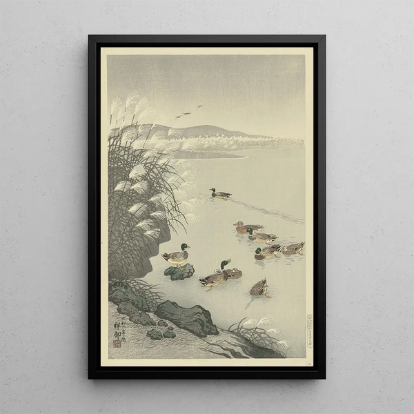 Enten im Wasser - Ohara Koson — gerahmtes Bild an der Wand