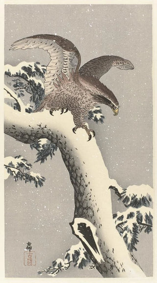 Ohara Koson - Eagle on snowy pine tree.webp