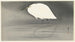 Aigrette - Ohara Koson — Ansicht des Kunstwerks