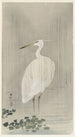 Aigrette sous la pluie - Ohara Koson — Ansicht des Kunstwerks