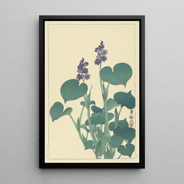 Hosta en fleur - Ohara Koson — gerahmtes Bild an der Wand