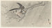 Stare im Sturm - Ohara Koson — Ansicht des Kunstwerks