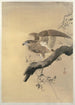 Falke - Ohara Koson — Ansicht des Kunstwerks