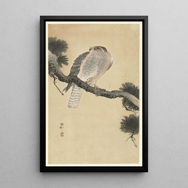 Falke auf Kiefernzweig - Ohara Koson — gerahmtes Bild an der Wand