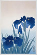 Iris - Ohara Koson — Ansicht des Kunstwerks