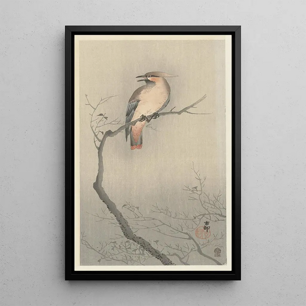 Jaseur du Japon sur branche - Ohara Koson — gerahmtes Bild an der Wand