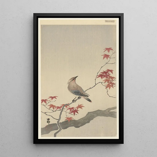 Japanischer Jaseur auf Ahorn - Ohara Koson — gerahmtes Bild an der Wand