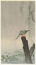 vom Eisvogel auf Baumstamm - Ohara Koson — Ansicht des Kunstwerks