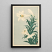 Lys - Ohara Koson — gerahmtes Bild an der Wand