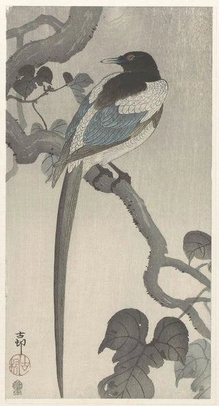 Ohara Koson - Magpie on tree branch.webp