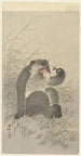 Affe mit Insekt - Ohara Koson — Ansicht des Kunstwerks