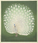 Pfau - Ohara Koson — Ansicht des Kunstwerks