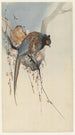 Paar von Fasanen und Pflaumenblüte - Ohara Koson — Ansicht des Kunstwerks