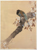 Fasan auf einem Kirschblütenzweig - Ohara Koson — Ansicht des Kunstwerks