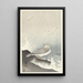 Möwe auf einem Felsen - Ohara Koson — gerahmtes Bild an der Wand