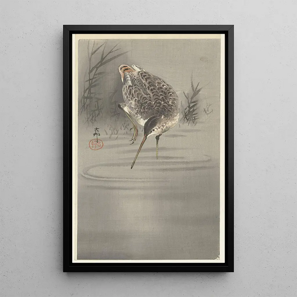 Bécassine dans l'eau - Ohara Koson — gerahmtes Bild an der Wand