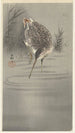 Bécassine dans l'eau - Ohara Koson — Ansicht des Kunstwerks