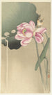 Singender Vogel und Lotus - Ohara Koson — Ansicht des Kunstwerks
