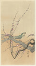 Singvogel und Pflaumenblüte - Ohara Koson — Ansicht des Kunstwerks