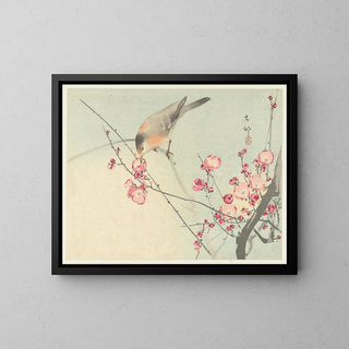 Ohara Koson - Songbird on blossom branch.webp
