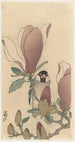 Möwe auf einem Magnolienzweig in Blüte - Ohara Koson — Ansicht des Kunstwerks